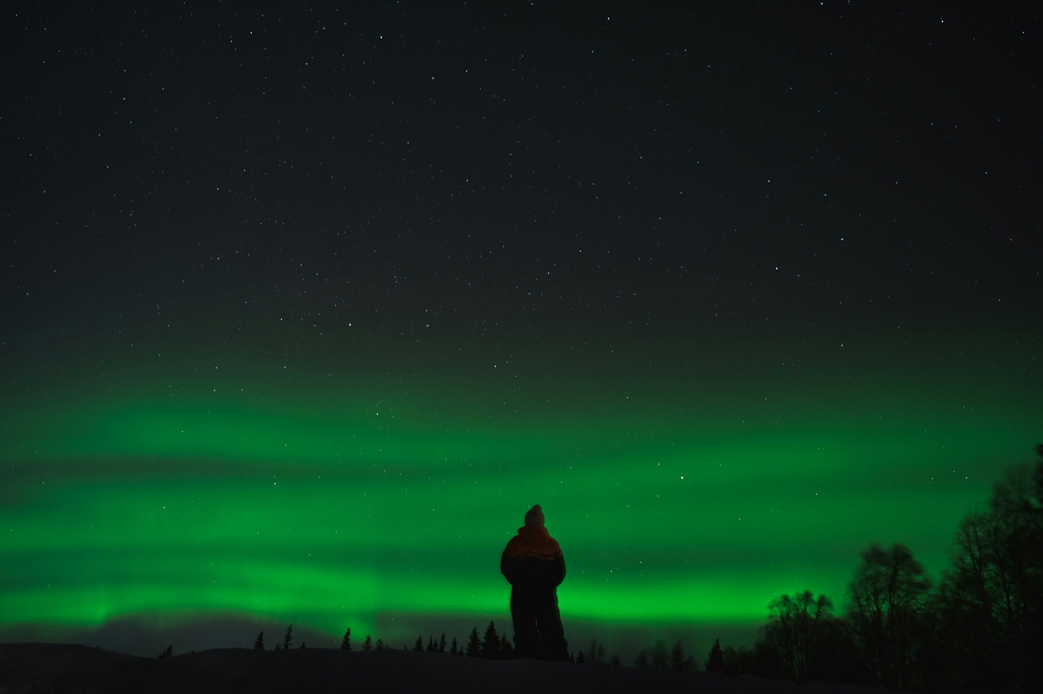 Explore Senja's Northern Lights with personalized tours hikes